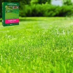 Genta Prestige İngiliz Çimi - English Lawn - 1 kg