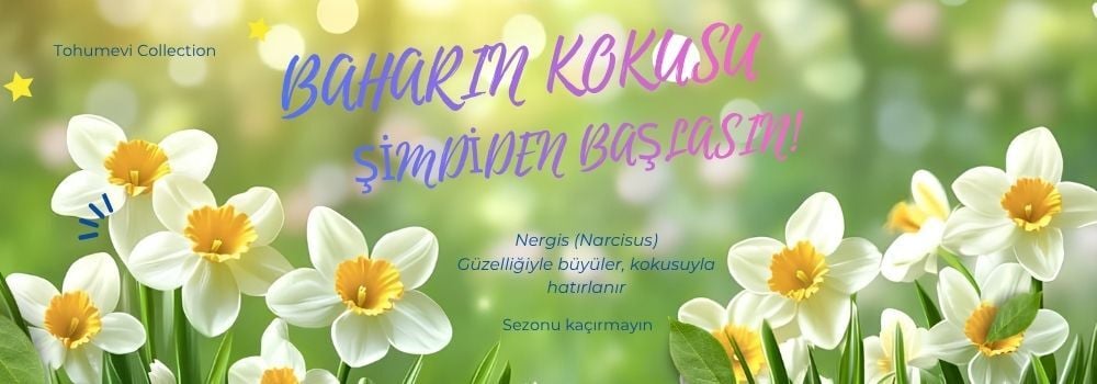YENİ SEZON