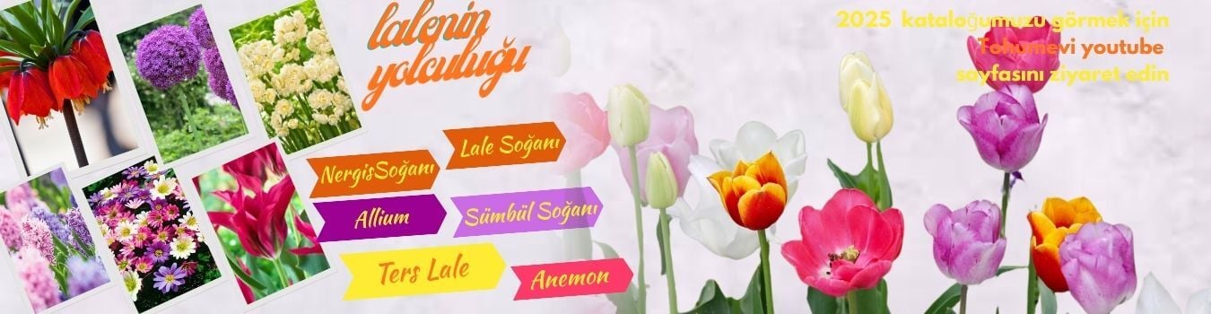 YENİ SEZON