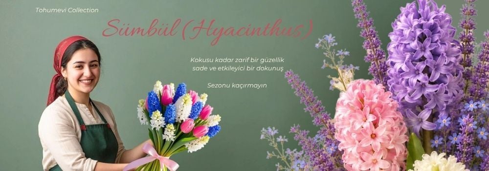YENİ SEZON