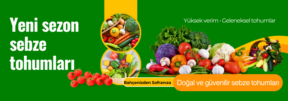 YENİ SEZON