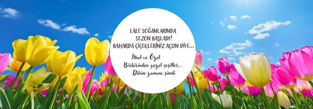 YENİ SEZON
