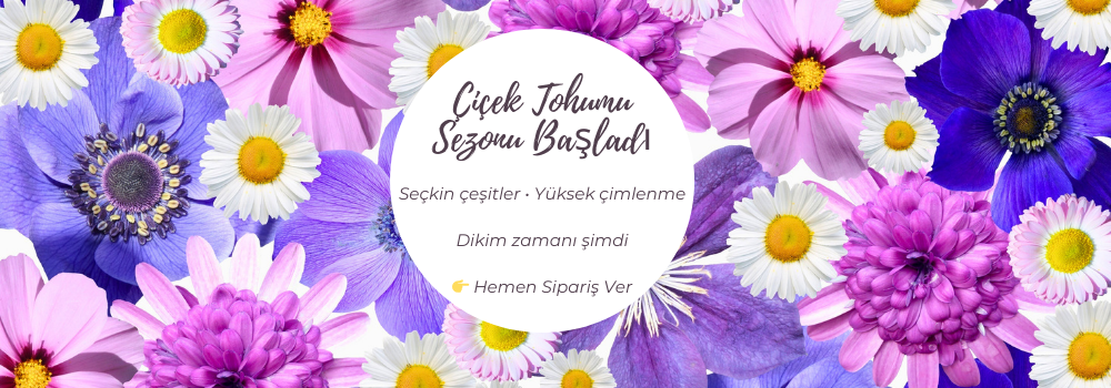YENİ SEZON