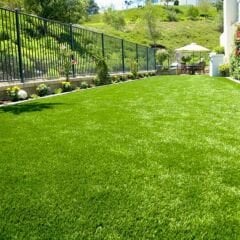 Nif Organik Süper Çim Besini (çim gübresi) 5 kg