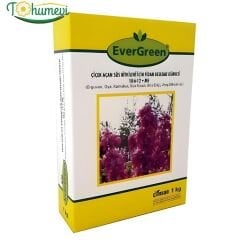 EverGreen Çiçek Açan Süs Bitkileri İçin Fidan Besleme Gübresi 18-6-12+ME