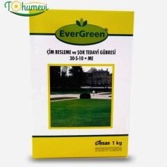 EverGreen Çim Besleme ve Şok Tedavi Gübresi 30-5-10+ME