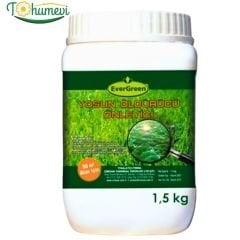 EverGreen Yosun Öldürücü Önleyici