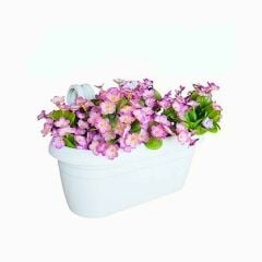 Poliwork Nergiz Kolay Askı40 Antrasit - 6,5 L