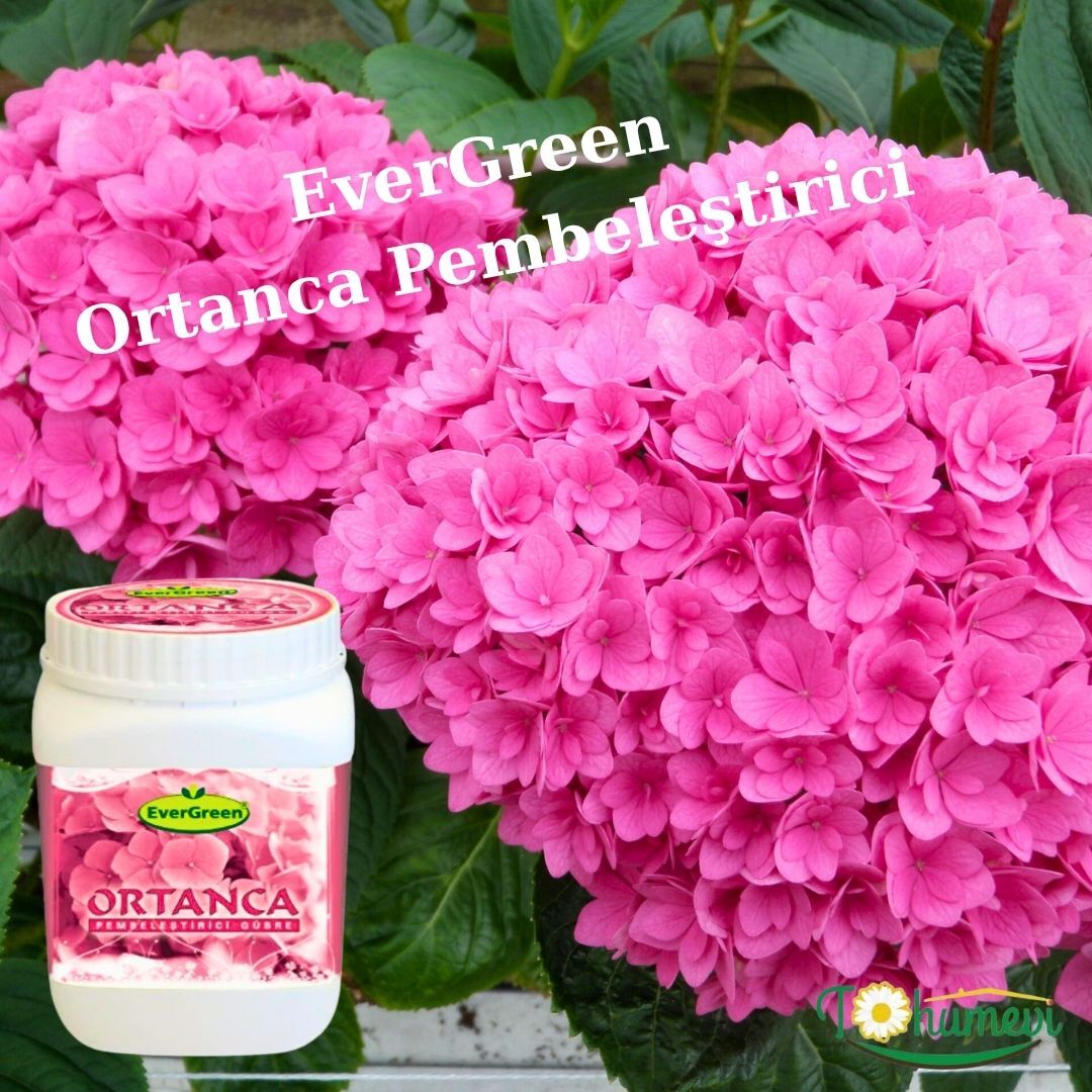 EverGreen Ortanca Pembeleştirici Gübre