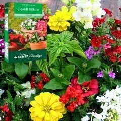 Genta Prestige Çiçekli Bitkiler Katı Bitki Besini
