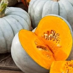 Balkabağı Tohumu - Casper Pumpkin