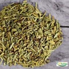 Çalı biberiye  tohumu - Rosmarinus Officinalis