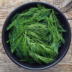 Dereotu Tohumu - Anethum Groveolens