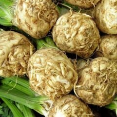 ﻿Kök Kereviz Tohumu -  Apium Graveolens  – Geleneksel