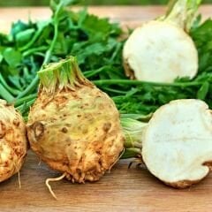 ﻿Kök Kereviz Tohumu -  Apium Graveolens  – Geleneksel
