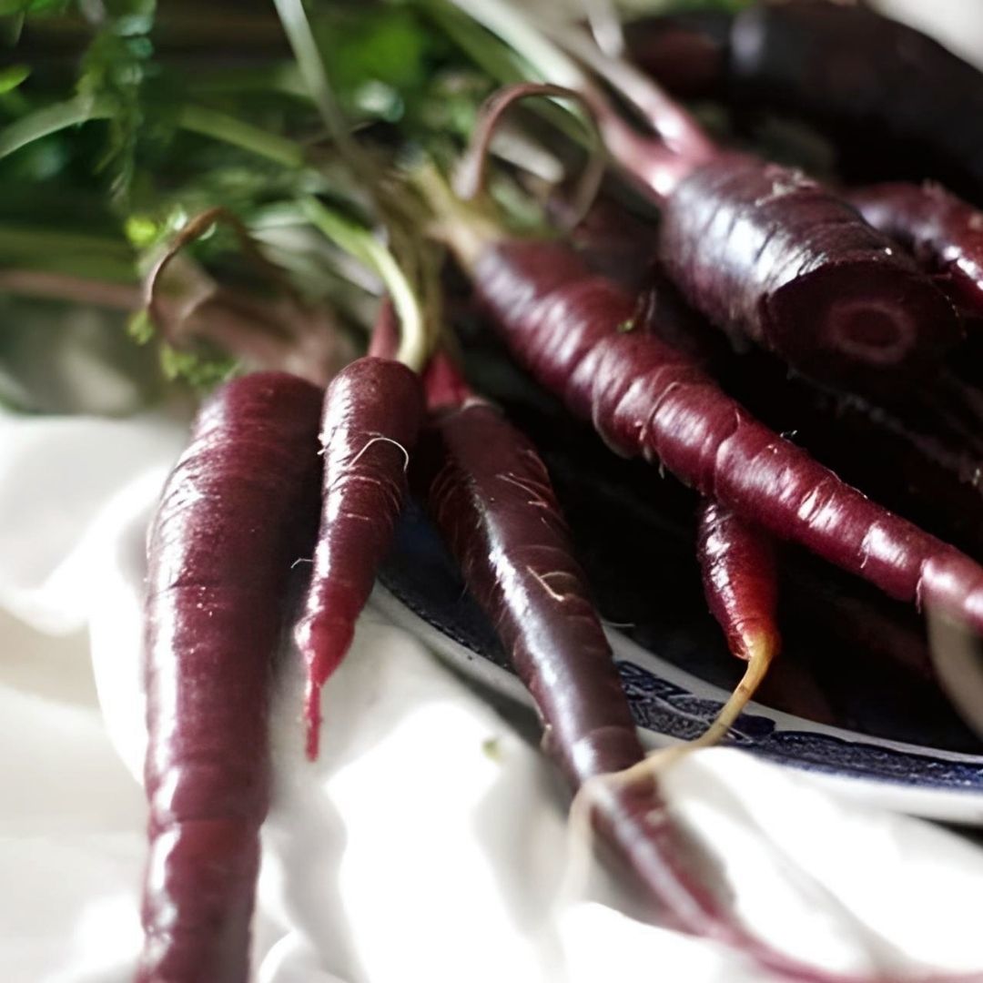 Siyah Havuç Tohumu Geleneksel – Pusa Asita Black Carrot