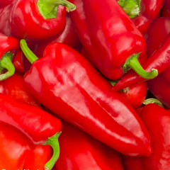 Biber Tohumu – Salçalık