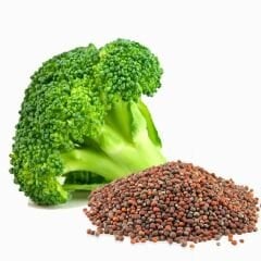 Brokoli Tohumu - Geleneksel