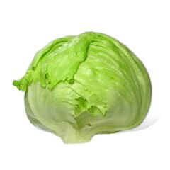 Marul Tohumu – Iceberg