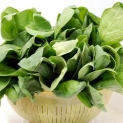 Ispanak  Tohumu - Spinacia Oleracea - Dikensiz | Soğuğa Dayanıklı | Yüksek Verimli