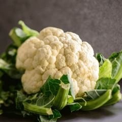 Karnabahar  Tohumu - iglo