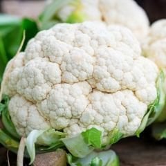 Karnabahar  Tohumu - Cauliflower