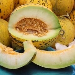 Altınbaş Kavun Tohumu