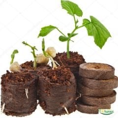 Jiffy Şişen Tablet – Sıkıştırılmış Pratik Tohum Çimlendirme Torfu