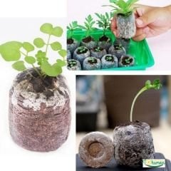 Jiffy Şişen Tablet – Sıkıştırılmış Pratik Tohum Çimlendirme Torfu