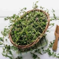 Kekik Tohumu - Thymus