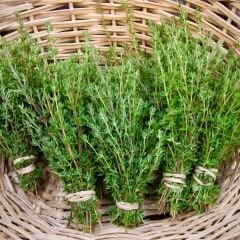 Kekik Tohumu - Thymus