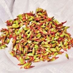 Kınalı Bamya Tohumu - Bornova