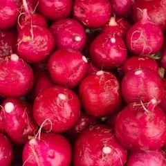 ﻿Kırmızı Turp Tohumu – Big Red