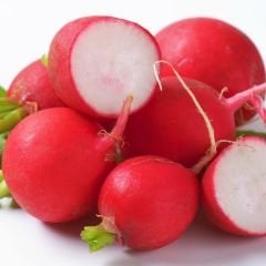 ﻿Kırmızı Turp Tohumu – Big Red