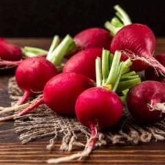 ﻿Kırmızı Turp Tohumu – Big Red