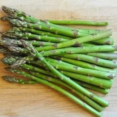 ﻿Kuşkonmaz Tohumu - Asparagus Officinalis