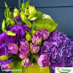 Advantage Purple Lisianthus Çiçeği Saksıda Katmerli – Liseli Kız