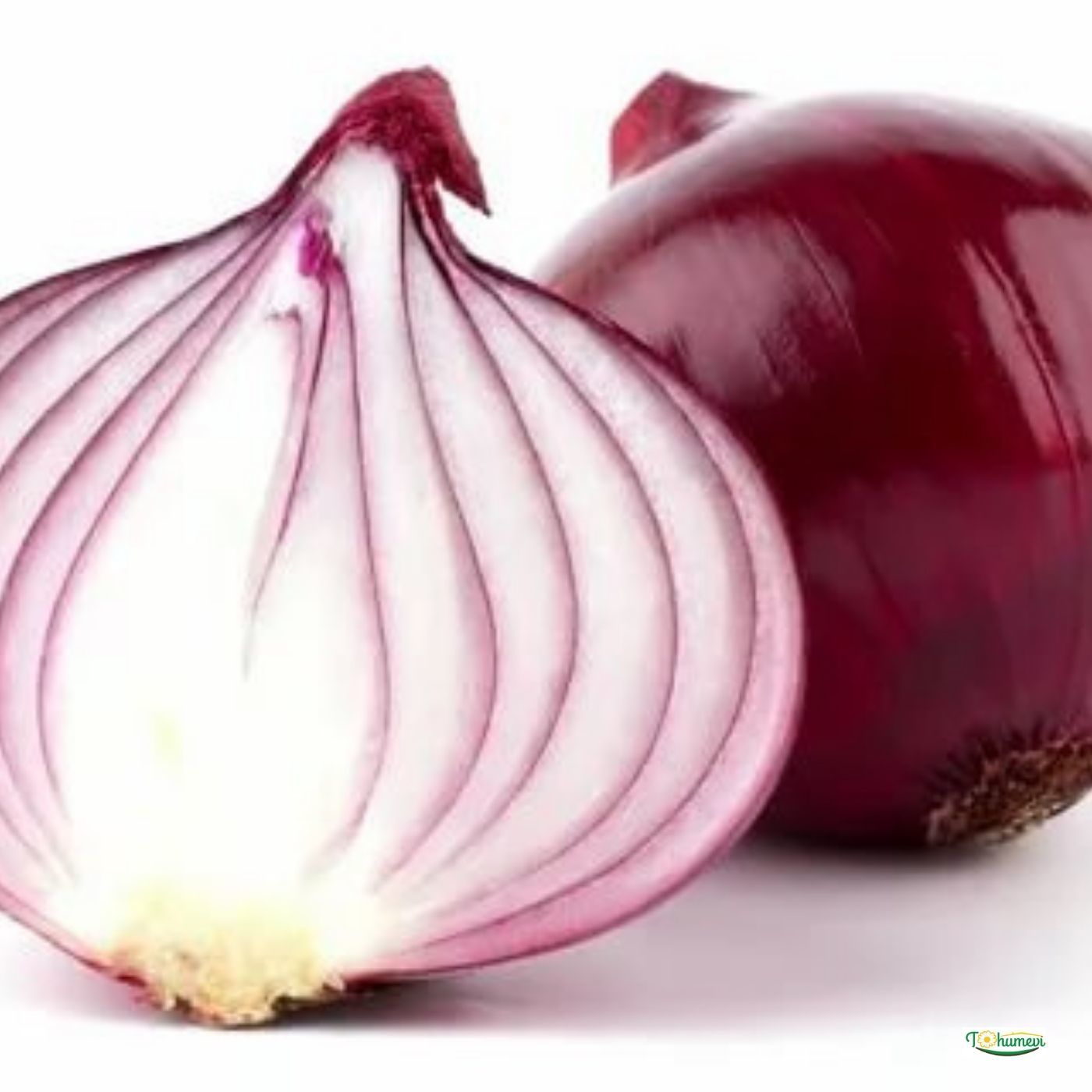 ﻿Mor Soğan Tohumu - Allium Cepa