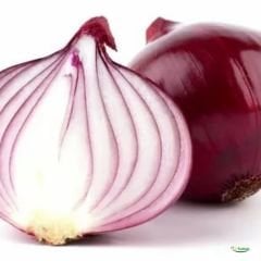 ﻿Mor Soğan Tohumu - Allium Cepa