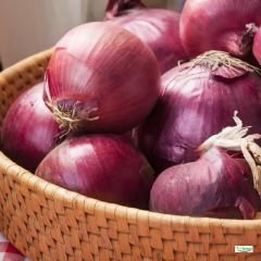 ﻿Mor Soğan Tohumu - Allium Cepa