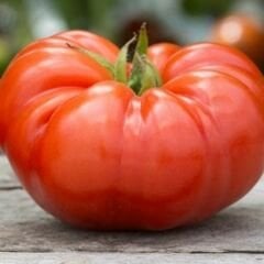 Organik Yerli Beylerbeyi Domates Tohumu