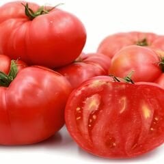 Organik Yerli Beylerbeyi Domates Tohumu