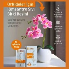 Florist Orkide Bitki Besini (20 ml × 10 Şase)