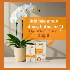 Florist Orkide Bitki Besini (20 ml × 10 Şase)