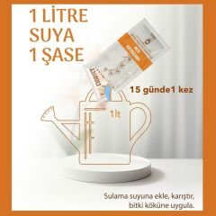 Florist Orkide Bitki Besini (20 ml × 10 Şase)