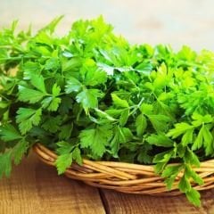 Geleneksel Maydanoz Tohumu - Petroselinum Crispum