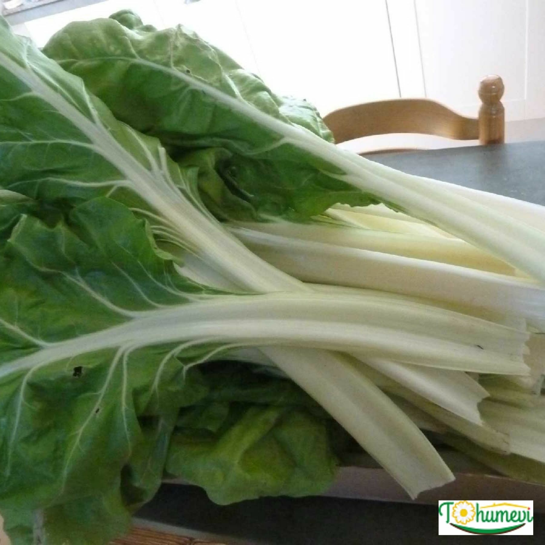 Beyaz Pazı Tohumu - Beta Vulgaris Chard