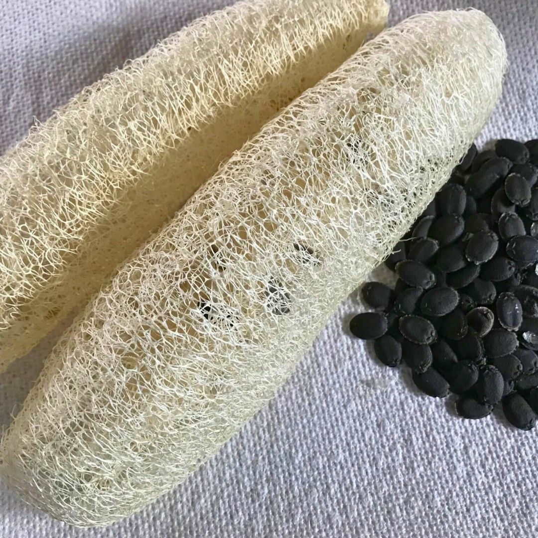 ﻿Lif Sünger Kabağı Tohumu - Luffa Cylindrica - Geleneksel