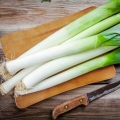 Pırasa Tohumu Geleneksel Soğuğa Dayanıklı - Allium Porrum