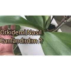 Genta Orkide Sıvı Bitki Besini - 500 ml